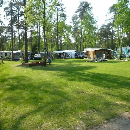 Natuurcamping De Rimboe Luxury tent